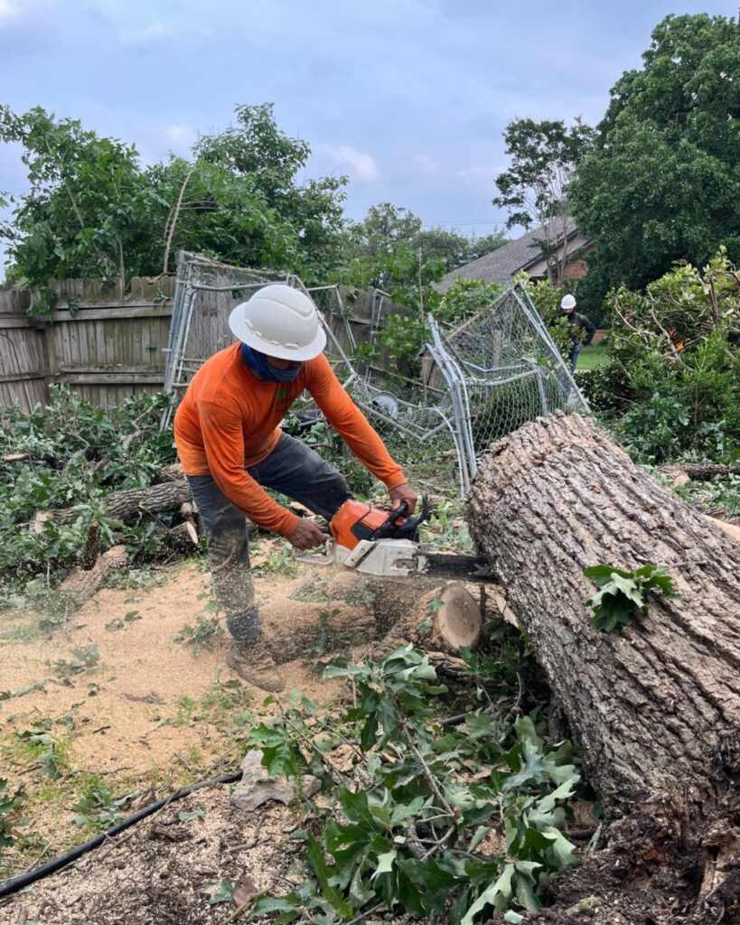 Alpharettatreeremovalservices