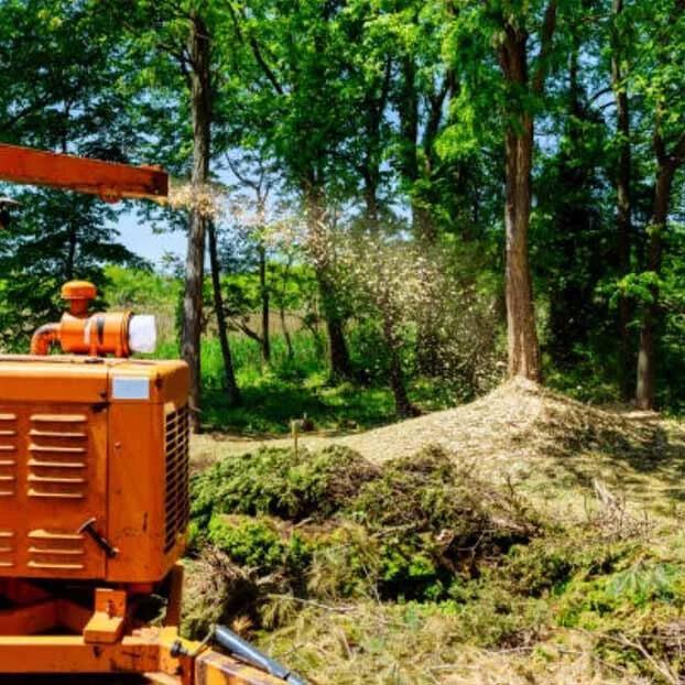 Chipper Tree Service Alpharetta
