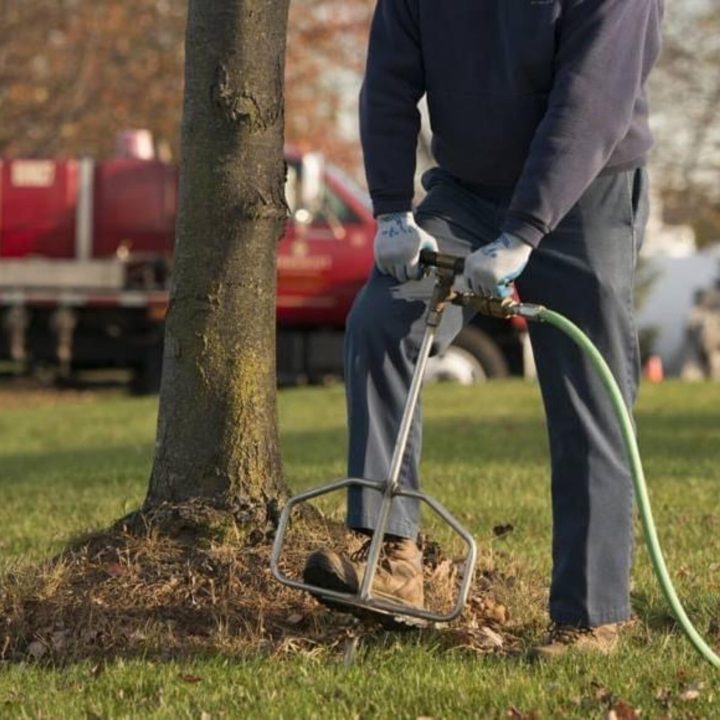 Alpharettatreepruning Alpharettatreepruning