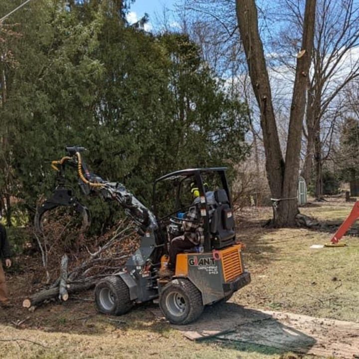 Alpharettatreeservice Land & Brush Clearing